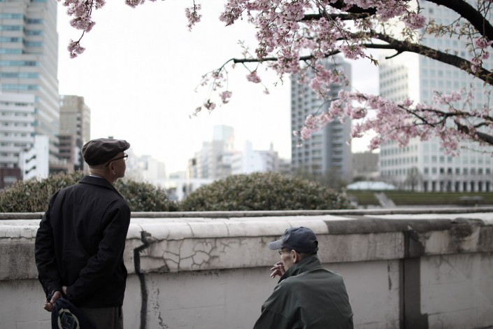 Sakura, Toyocho