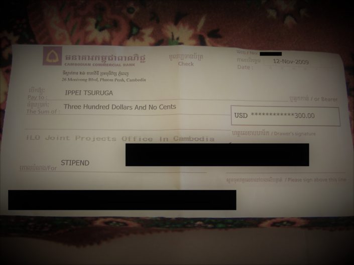 Check 2009
