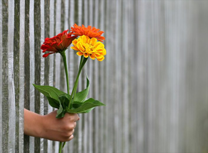 Hand Flower